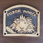 72_morce.JPG
